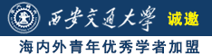 少萝高h诚邀海内外青年优秀学者加盟西安交通大学